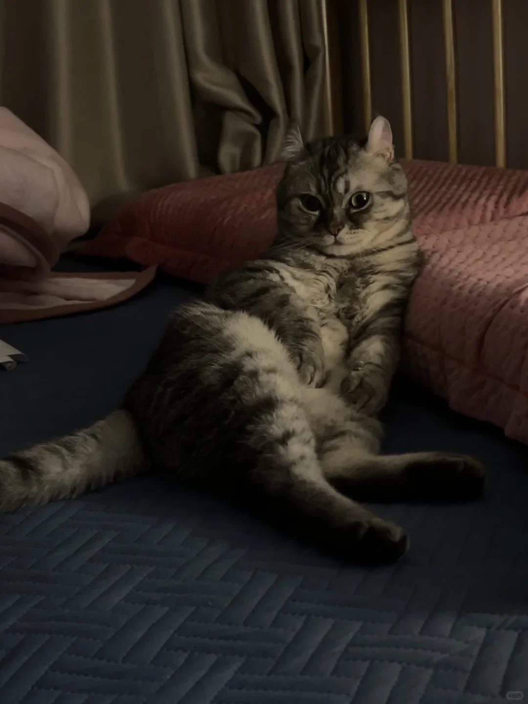 抛媚眼呢？还笑？！