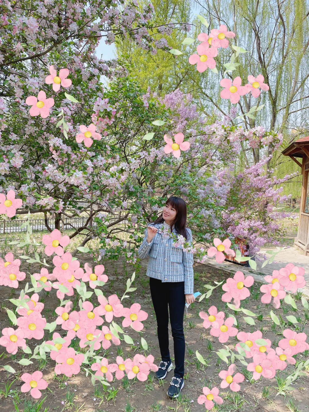 🌸🌸🌺🌺💐💐