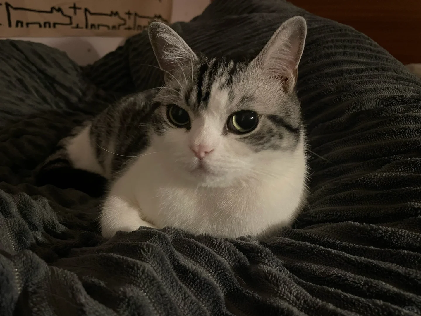 啥叫媚眼如丝啊