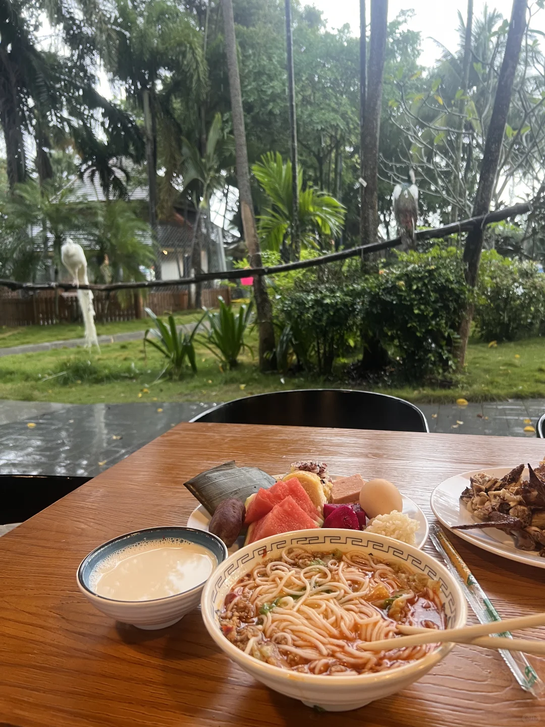 美丽的西双版纳孔雀谷🦚温泉♨️