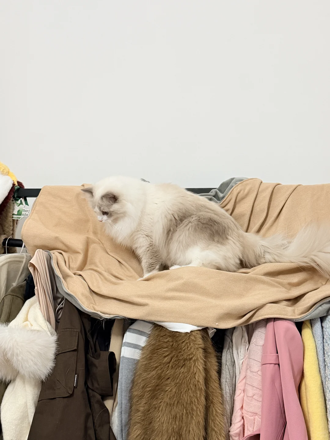 澳门🇲🇴｜吃喝随记穿睡衣出门的快乐谁懂