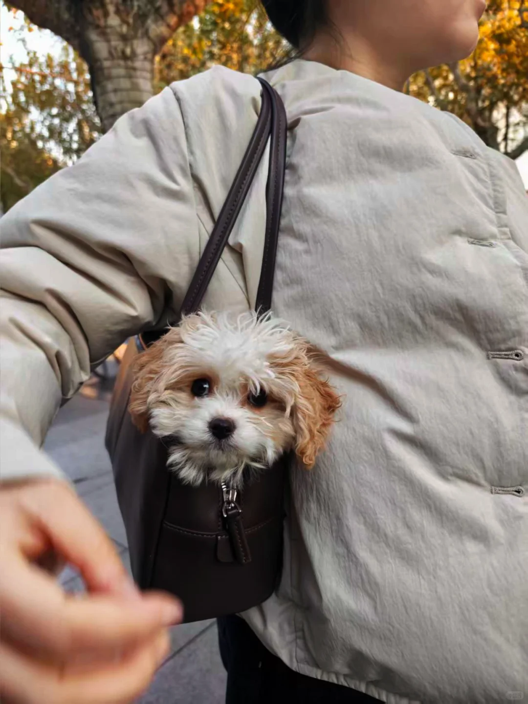 来看一看恋爱脑后期到底是个什么