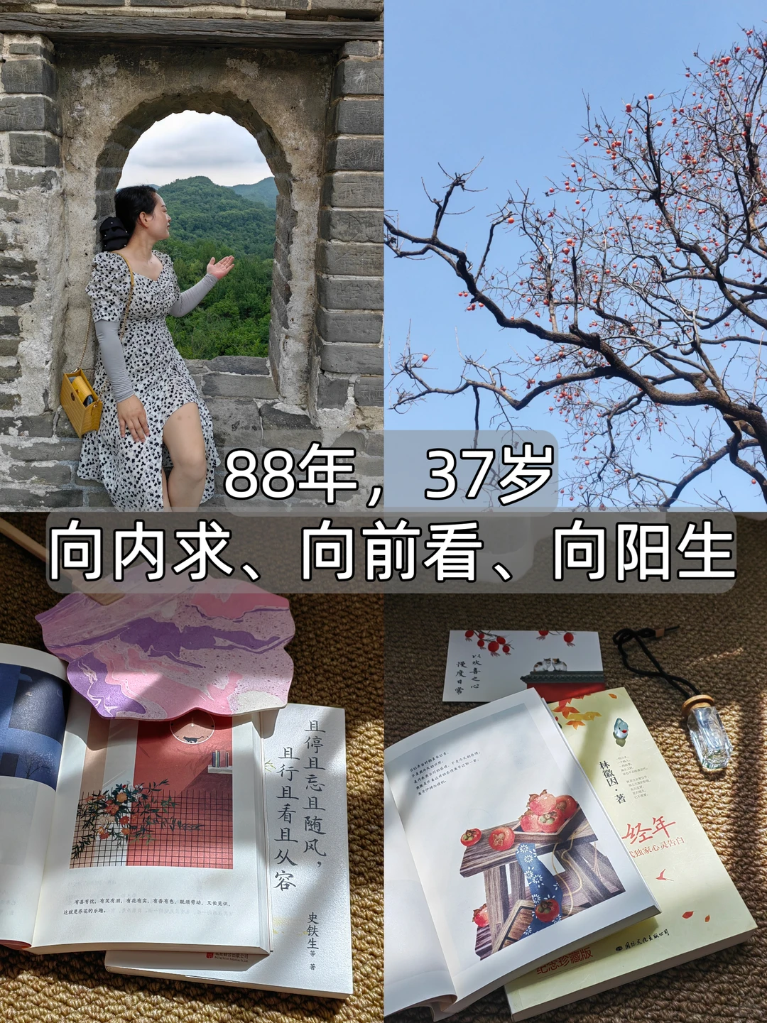 真正的成长：向内求、向前看、向阳生