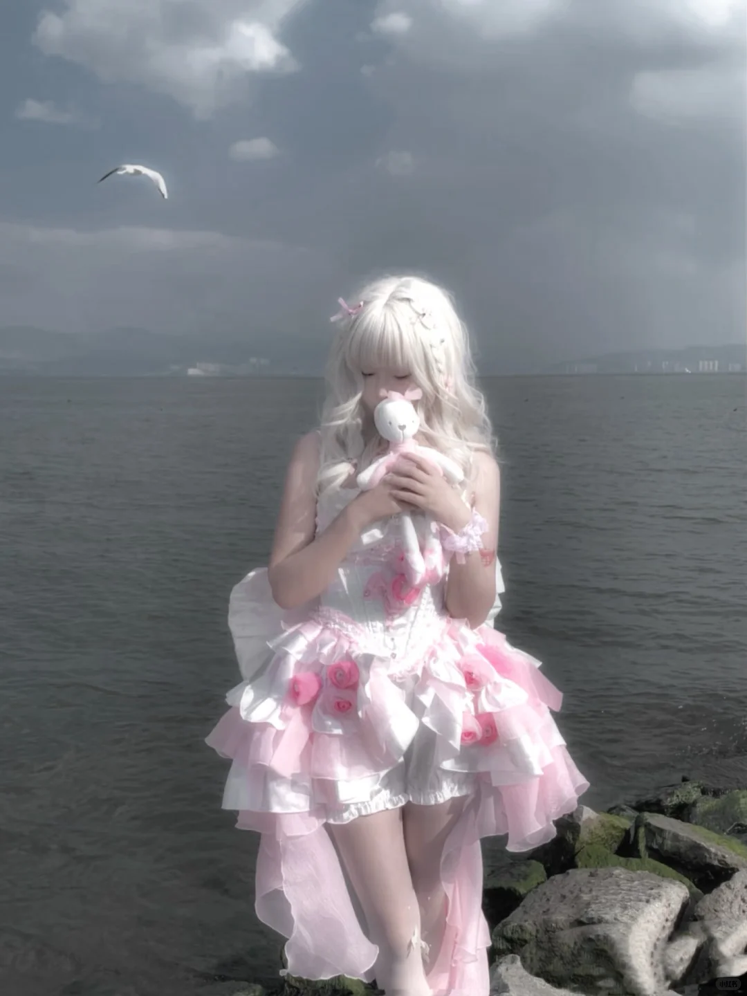 ᴠᴇʟᴠᴇᴛ ʀᴀʙʙɪᴛ🐇 ˖ ⊹