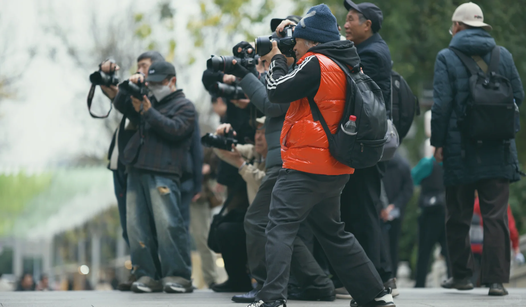 一群老登拍嫩模