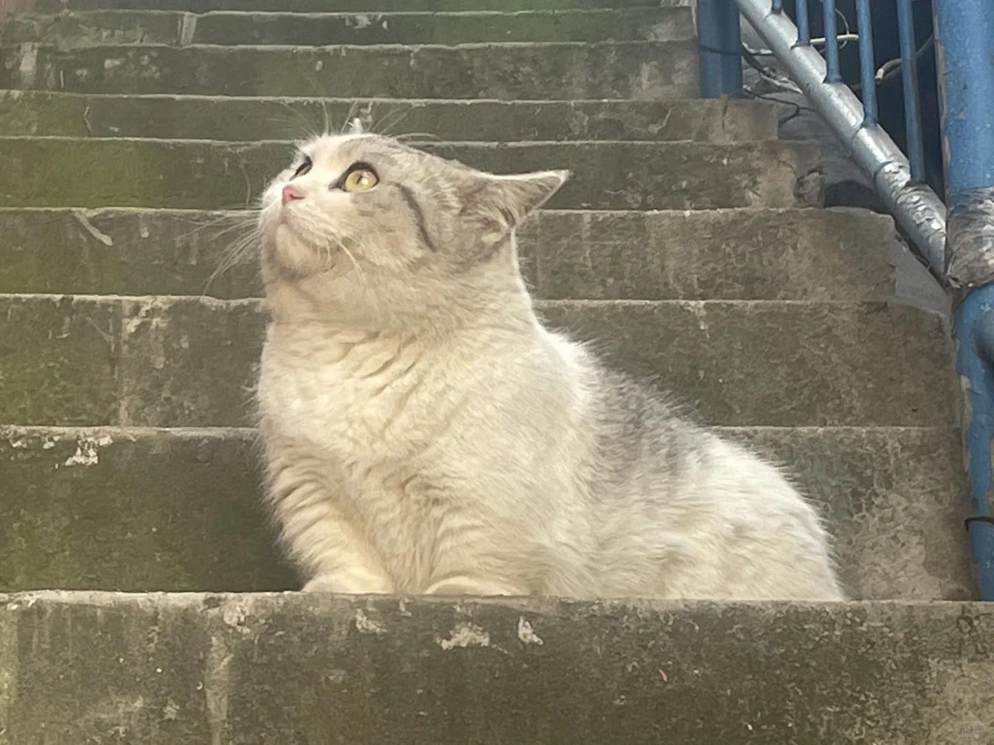 救命啊！ 挑媚眼+侧脸杀