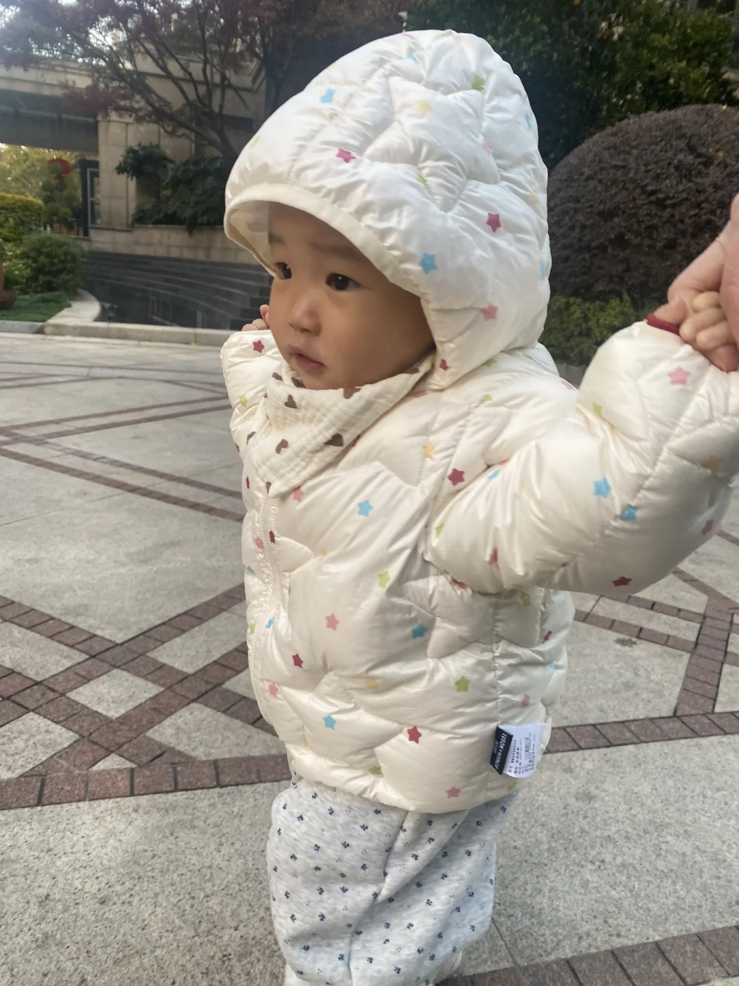 📸杭州周中求约拍！诚寻免费帮拍女儿写真