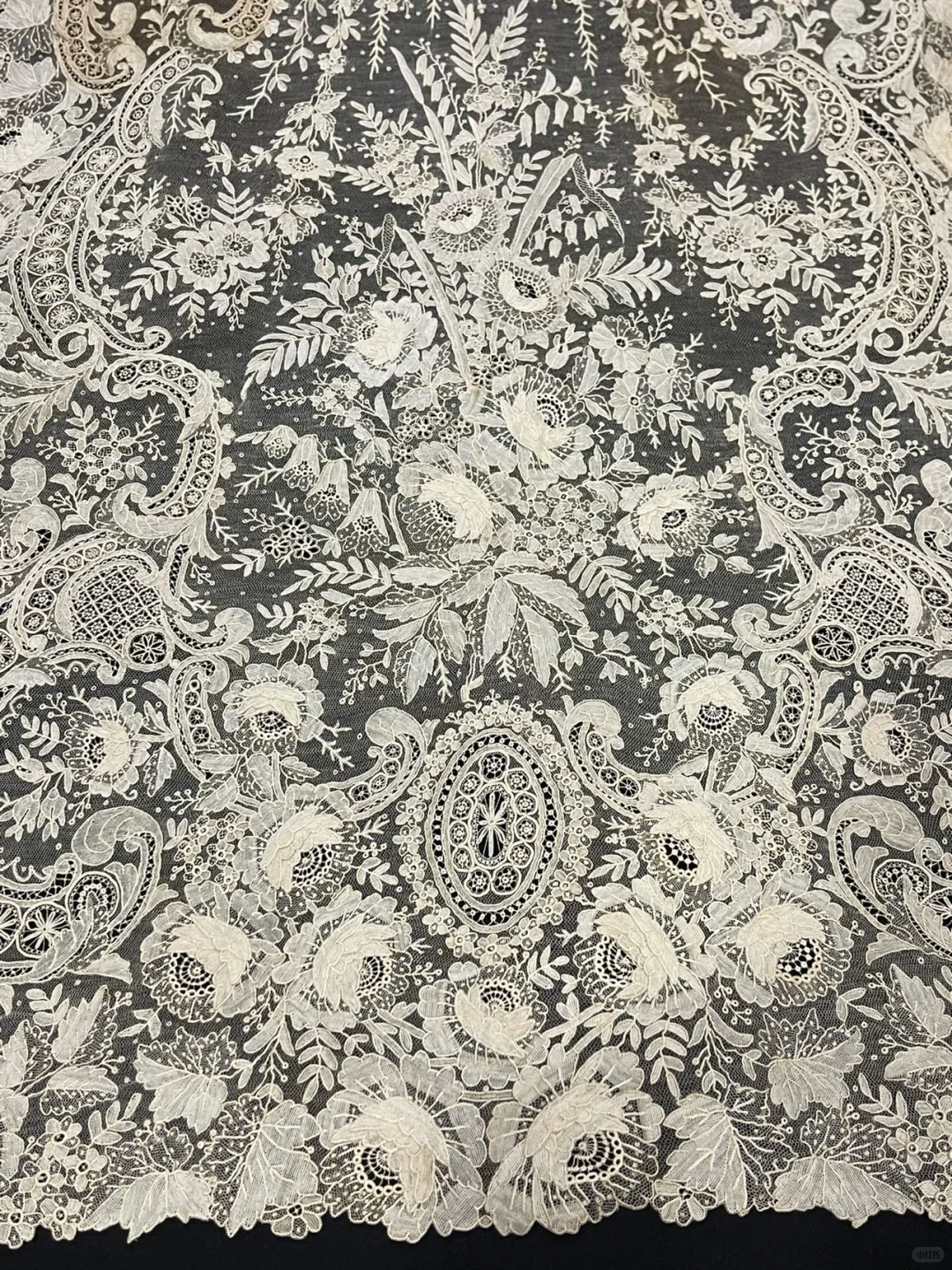🕊️百年蕾丝—博物馆级的薄雾之花！！！！