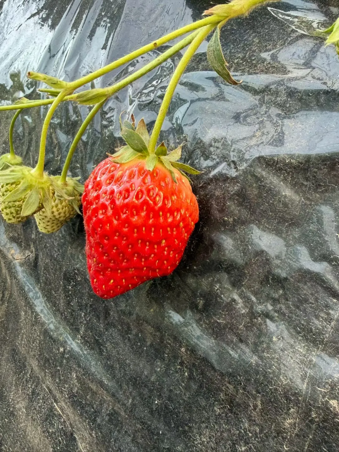 离开医院后感觉一切都好可爱☺️