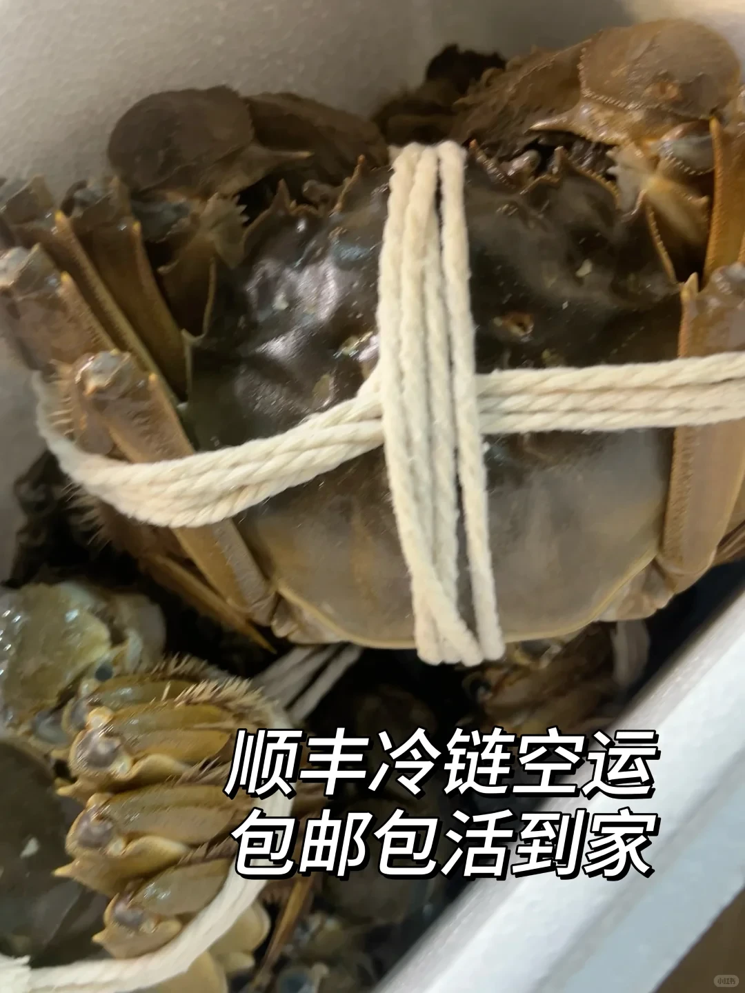 糊嗓警告❗绝啊，比猪油还香的公蟹膏~