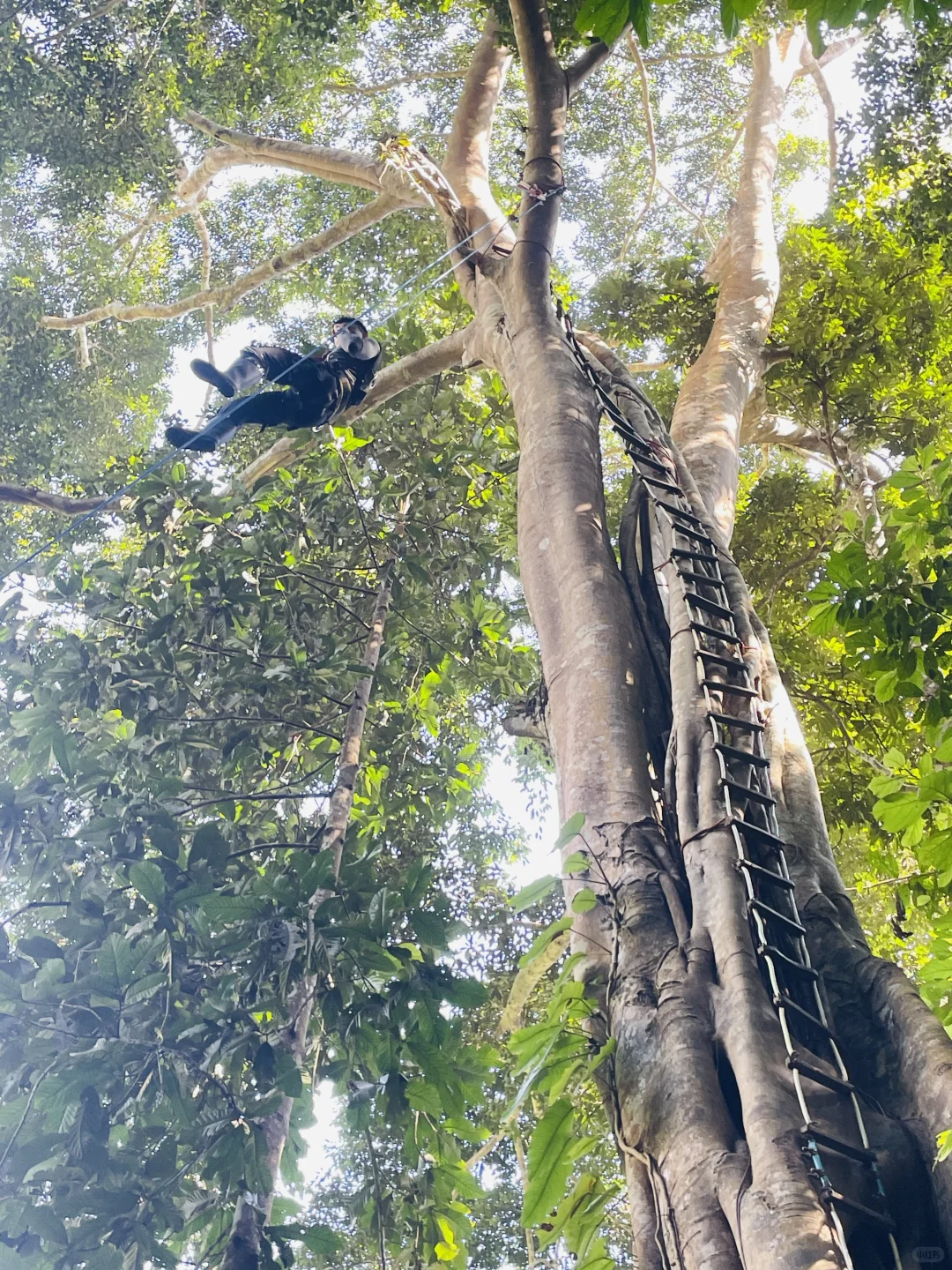 雨林徒步 穿越山野溪涧