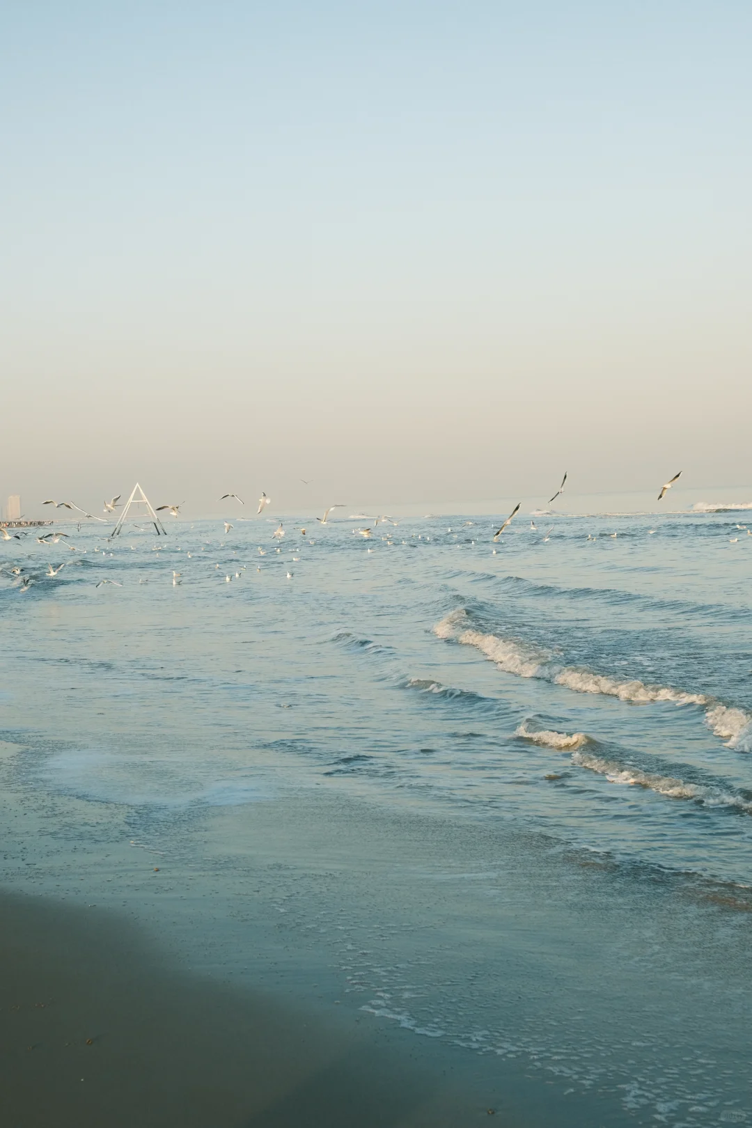 卡哈特与海边更配