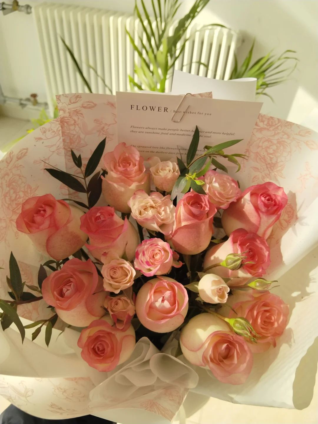 专升本上岸打卡第99天