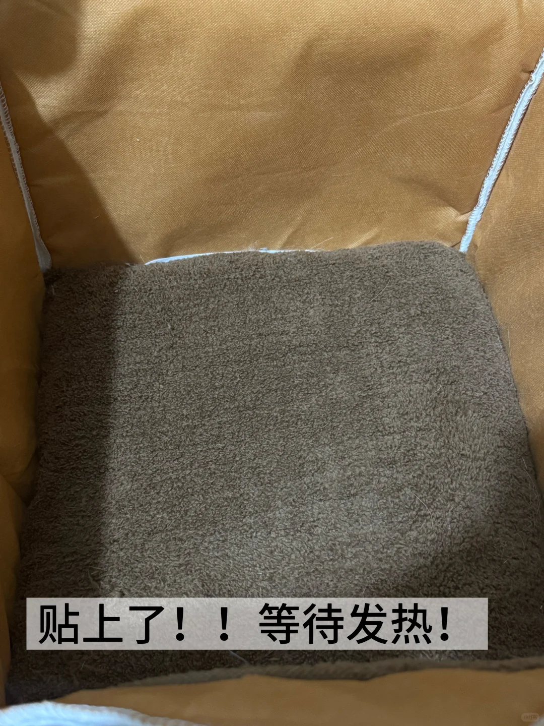 就选它！佩奇宠物暖垫！