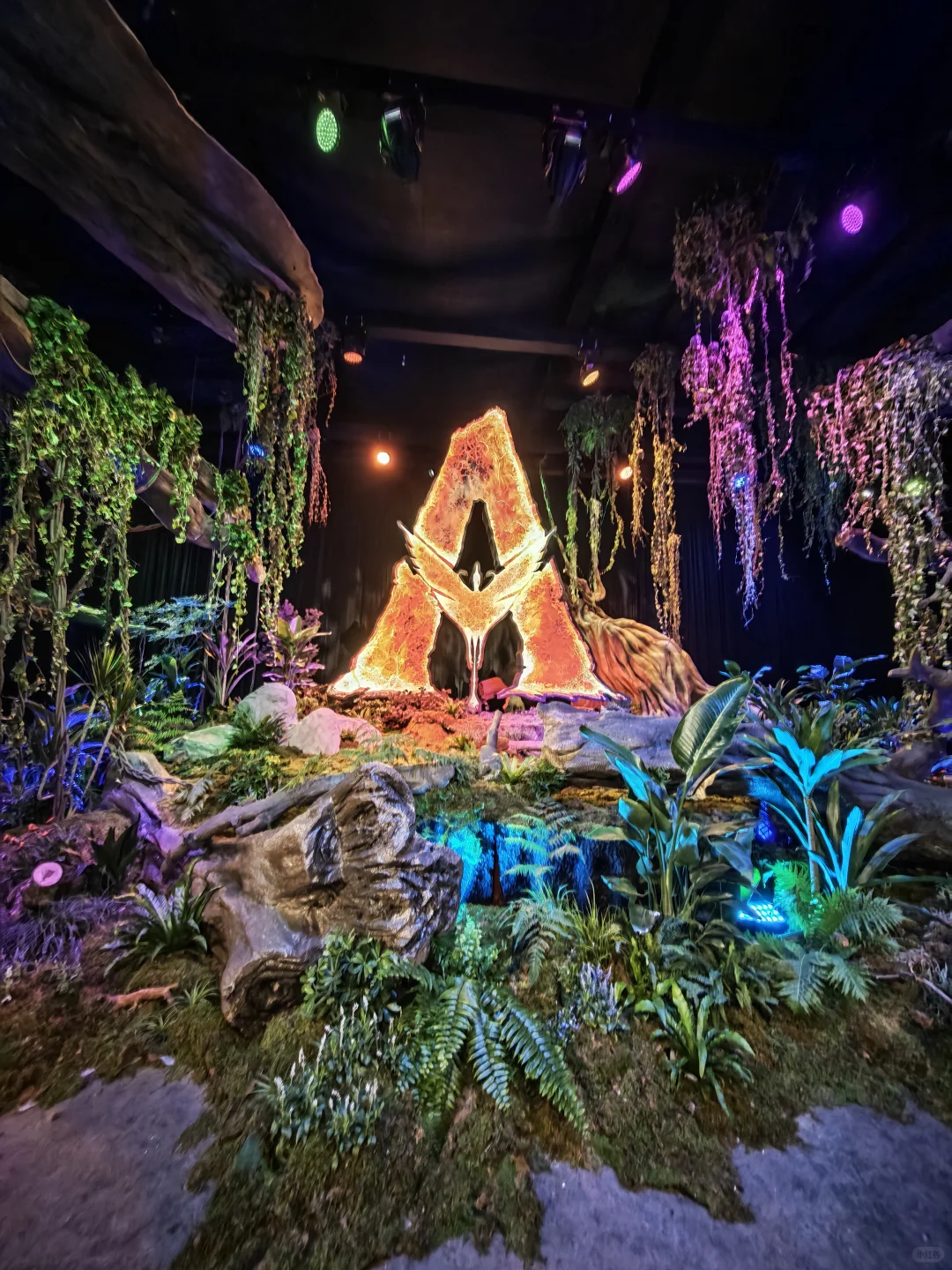 看了阿凡达3首映礼，感觉老卡有点江郎才尽