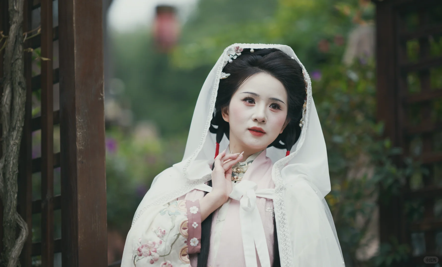 一群老登拍嫩模