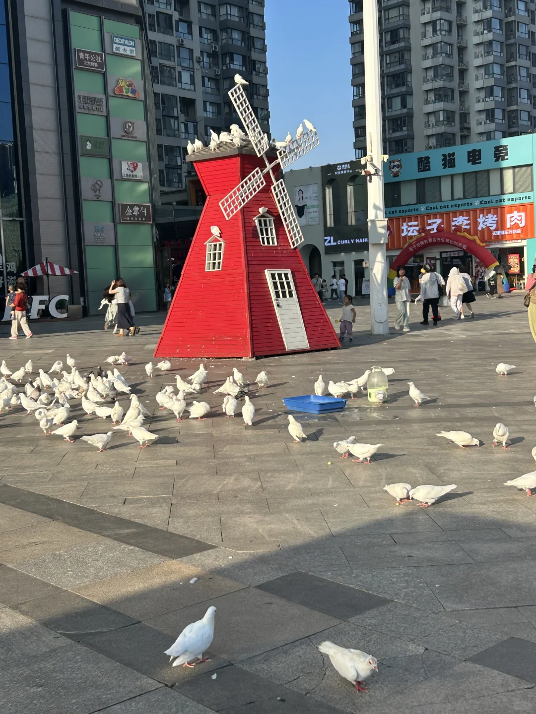 今年夏天的最后一波擦边照