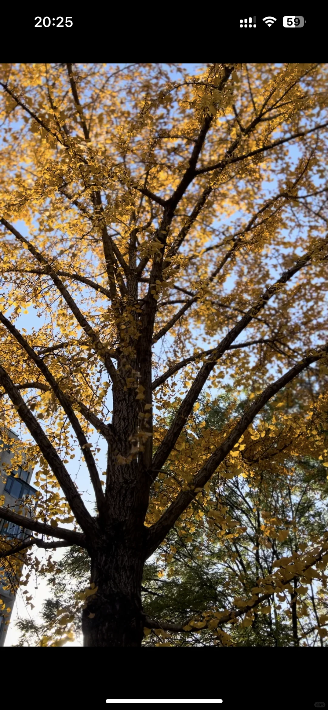 ☀️【天气好极了，钱几乎没有。】