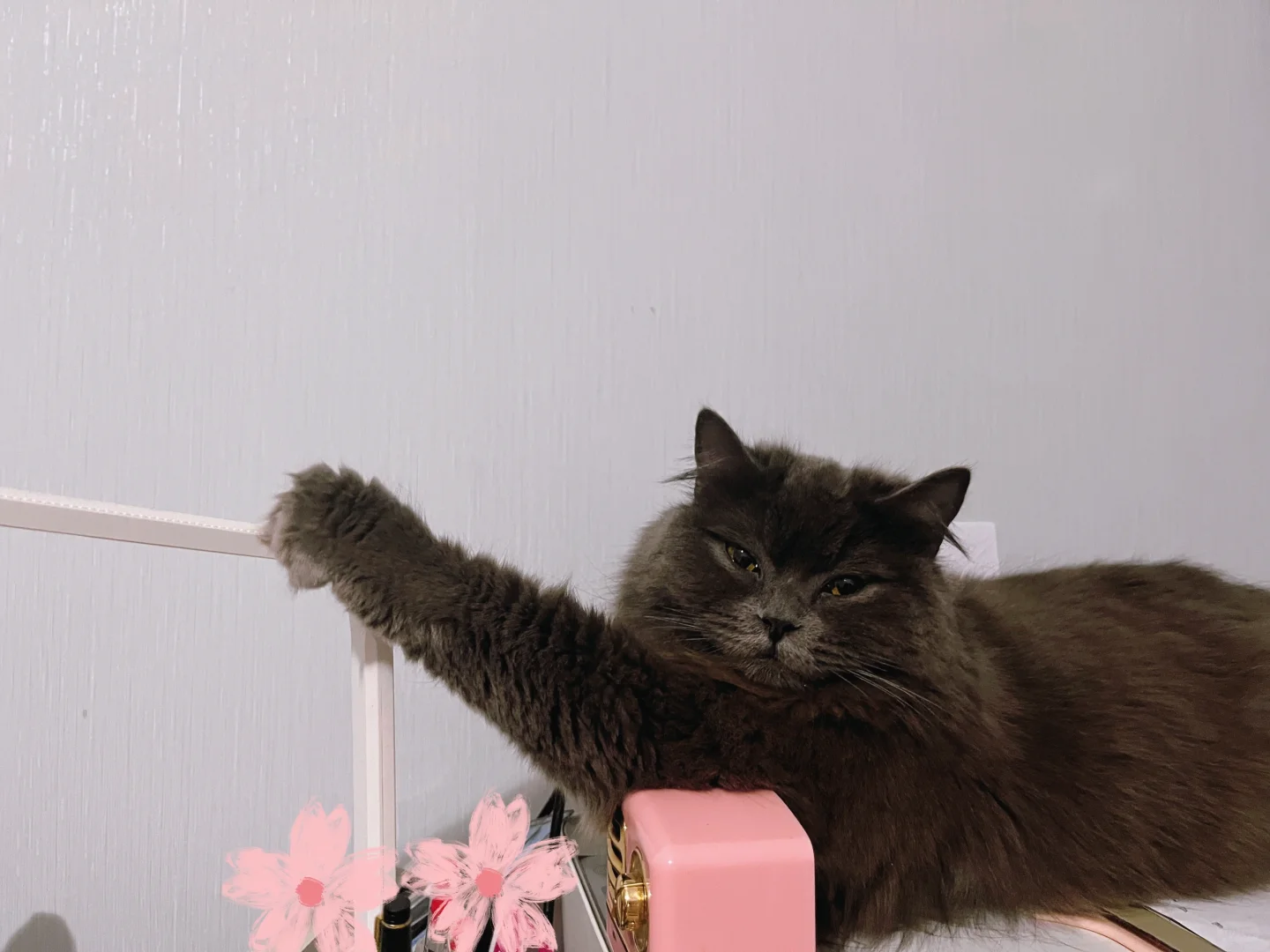 给我抛媚眼吗👀