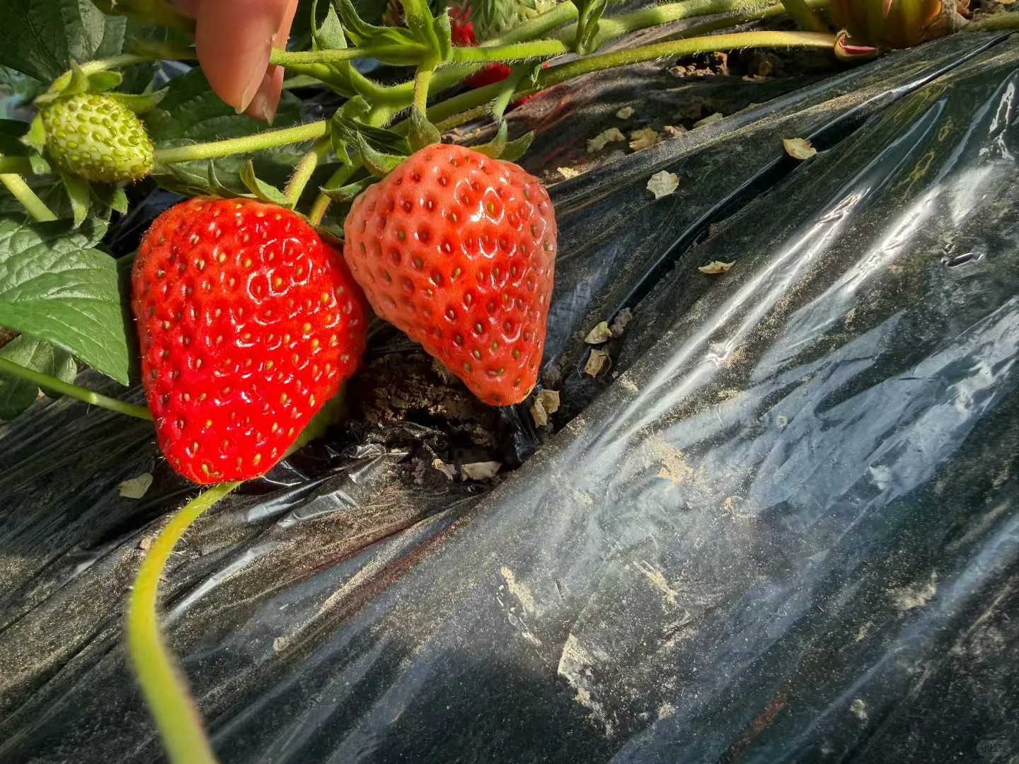 离开医院后感觉一切都好可爱☺️