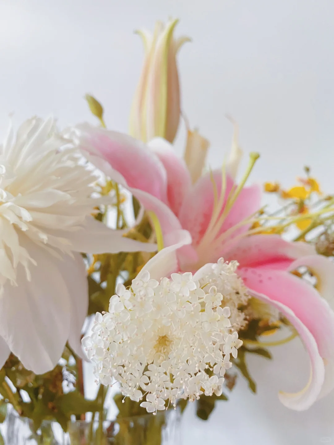 点缀叶间如绣——翠珠