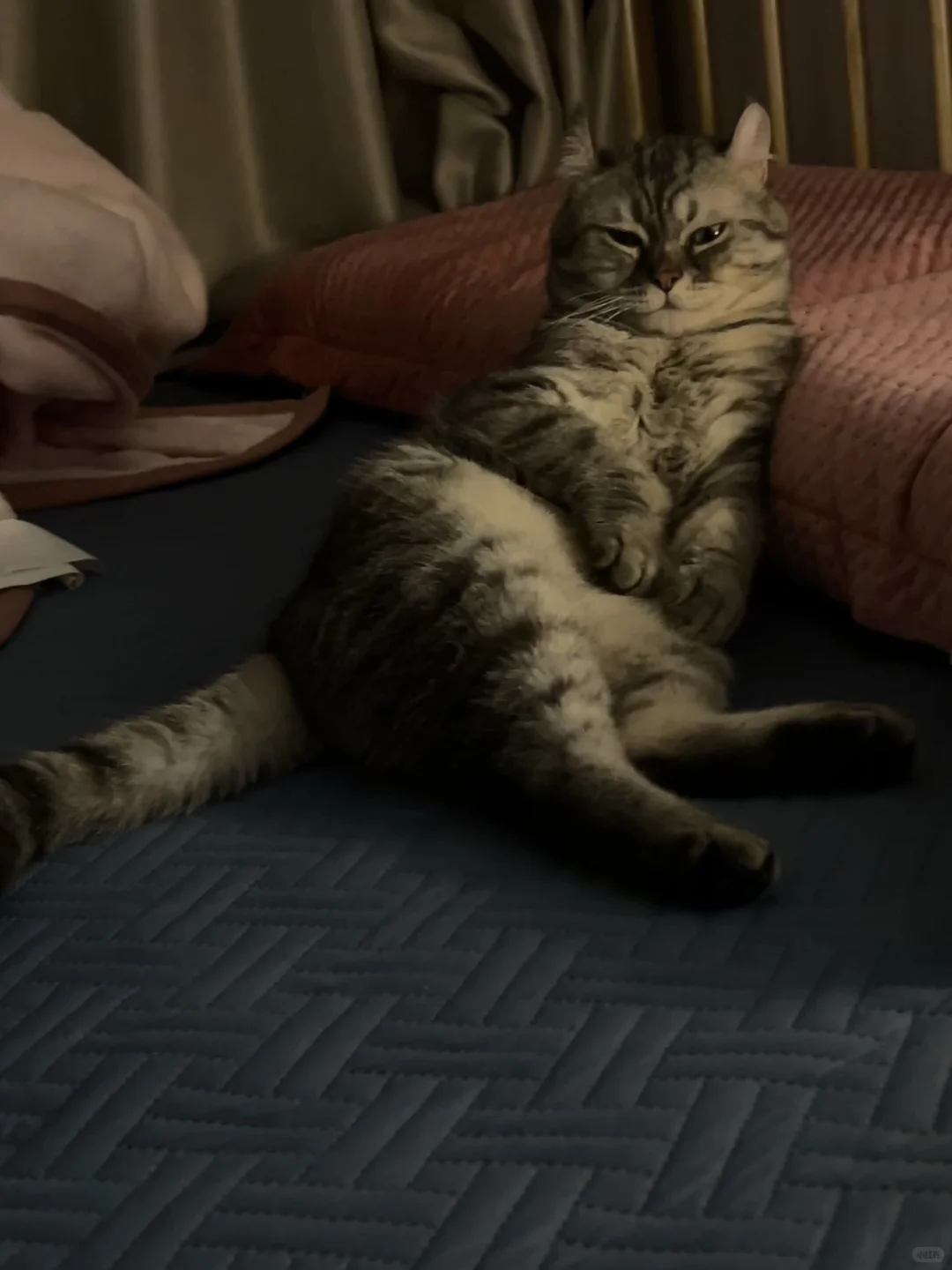 抛媚眼呢？还笑？！