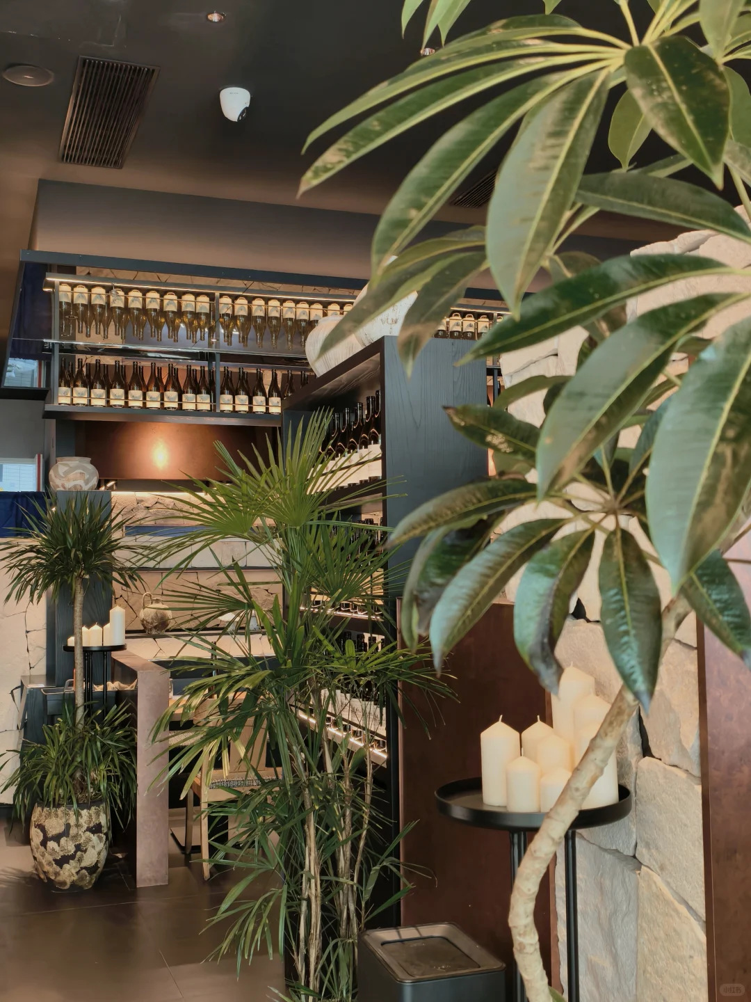 南京|这家云贵川菜让我彻底沦陷了… 🌶