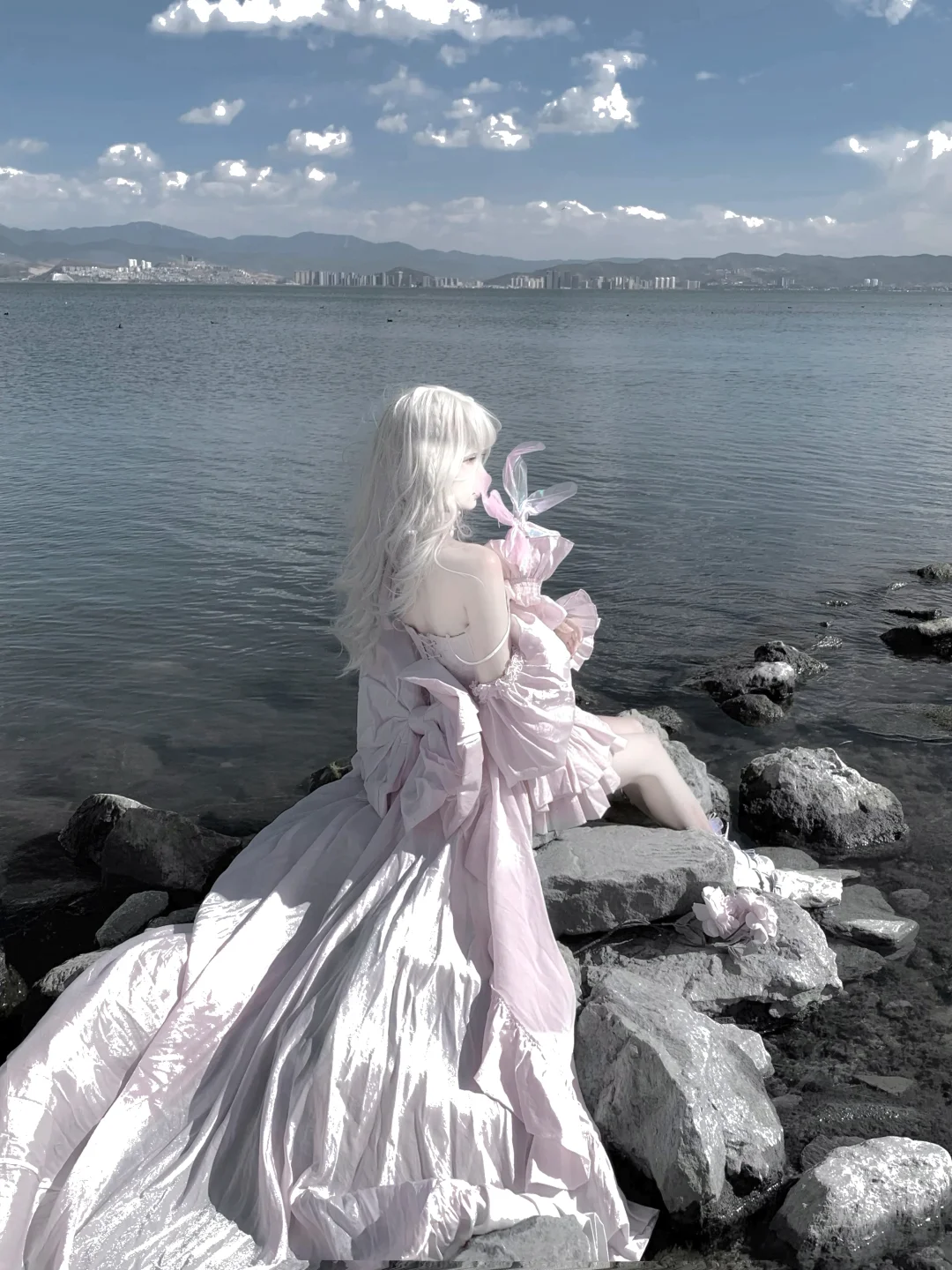 ᴠᴇʟᴠᴇᴛ ʀᴀʙʙɪᴛ🐇 ˖ ⊹