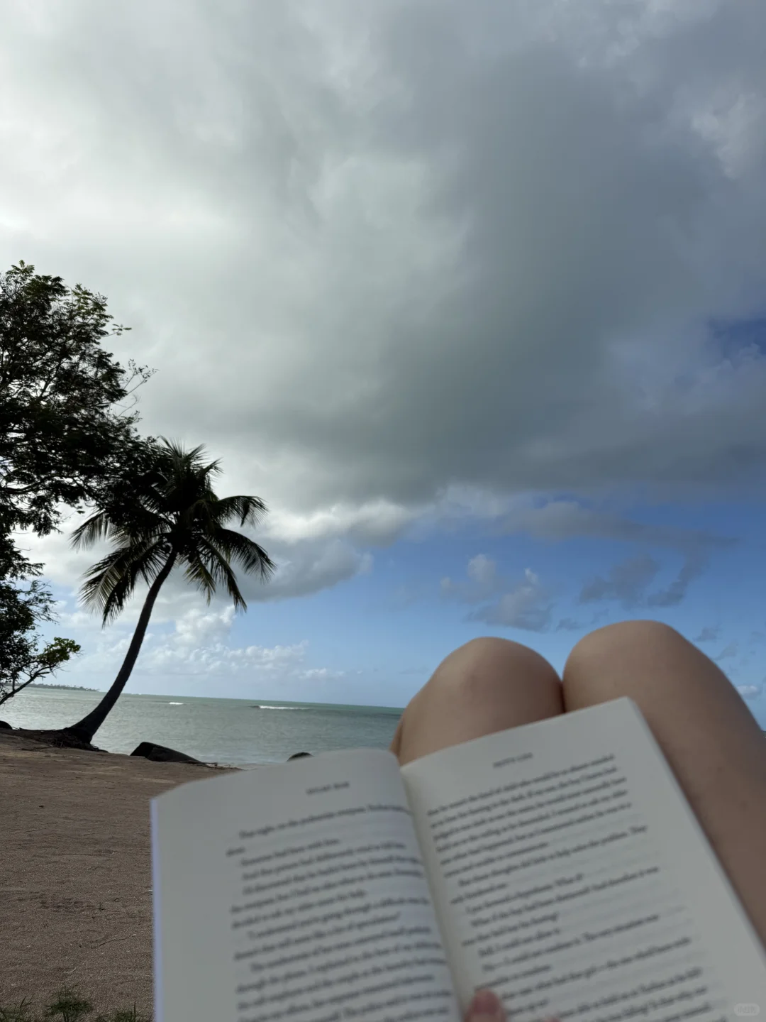 在海岛的穿搭𖦹°· ⋆🐚🌴🌺