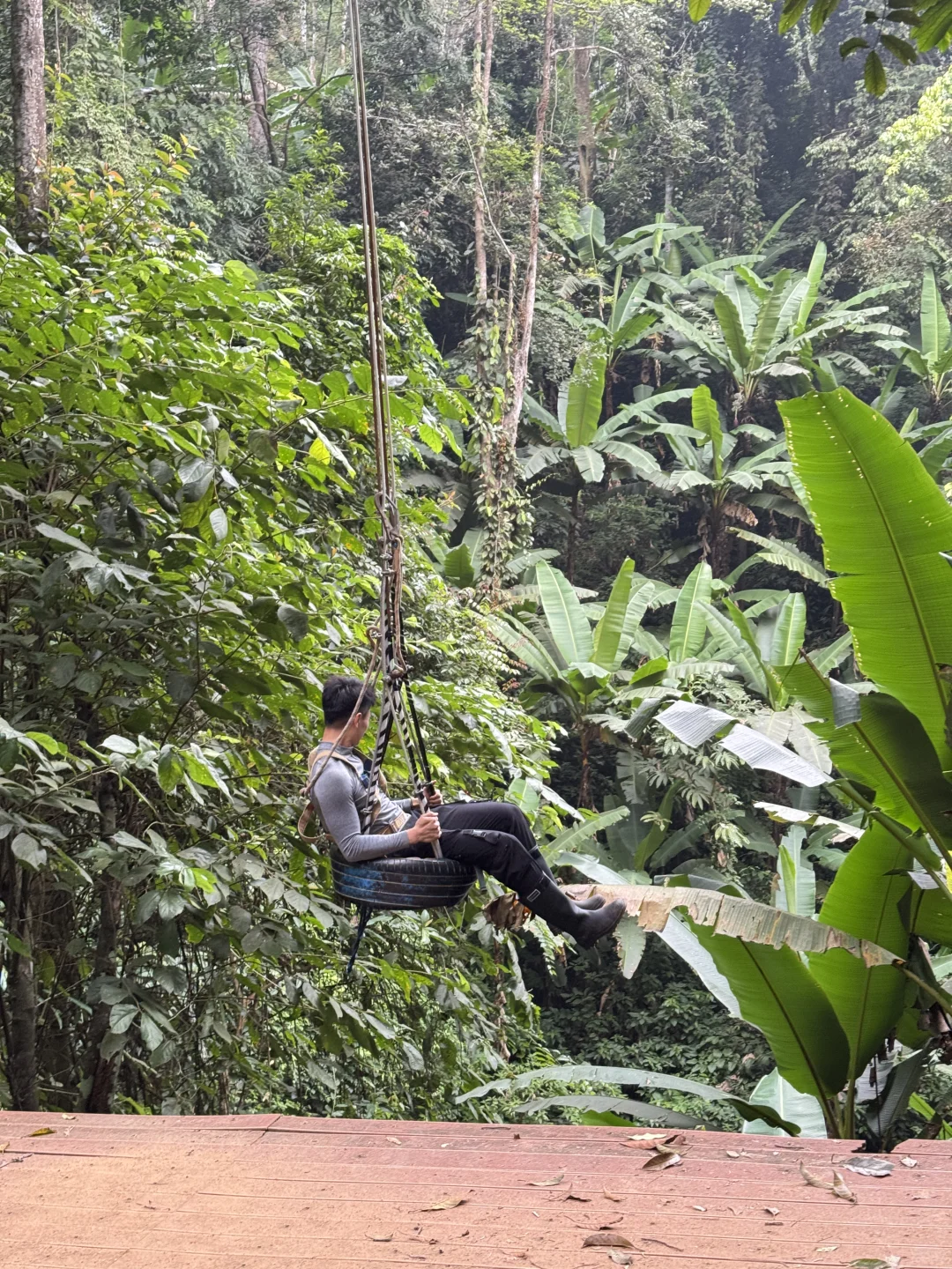 雨林徒步 穿越山野溪涧