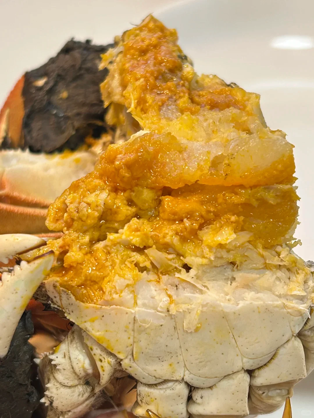 糊嗓警告❗绝啊，比猪油还香的公蟹膏~