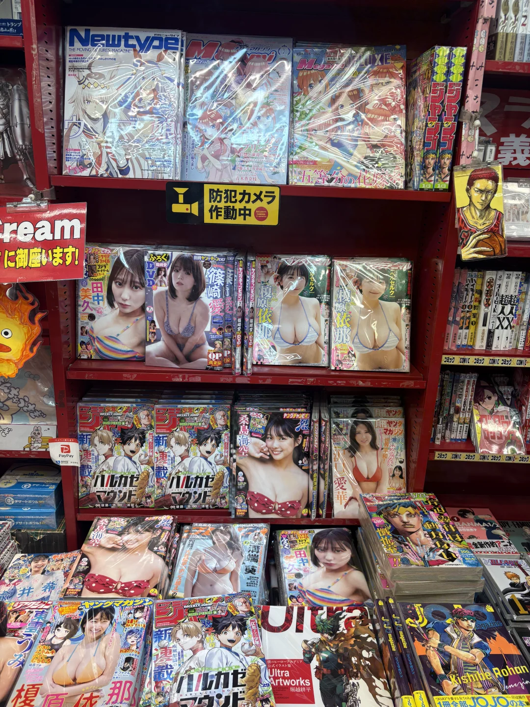 日本 | 秋叶原音影/写真/漫画杂货店