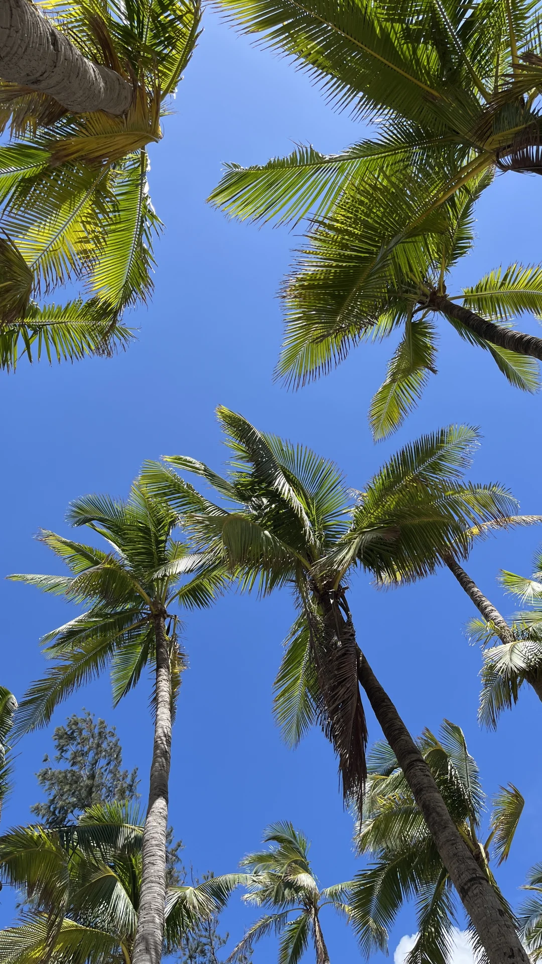 160 80 海边碎片🌊