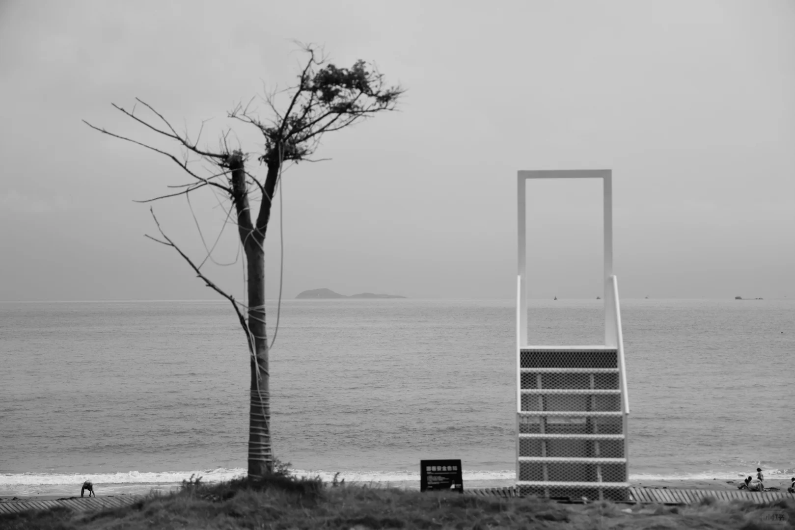 这色身是要来受这娑婆劫的