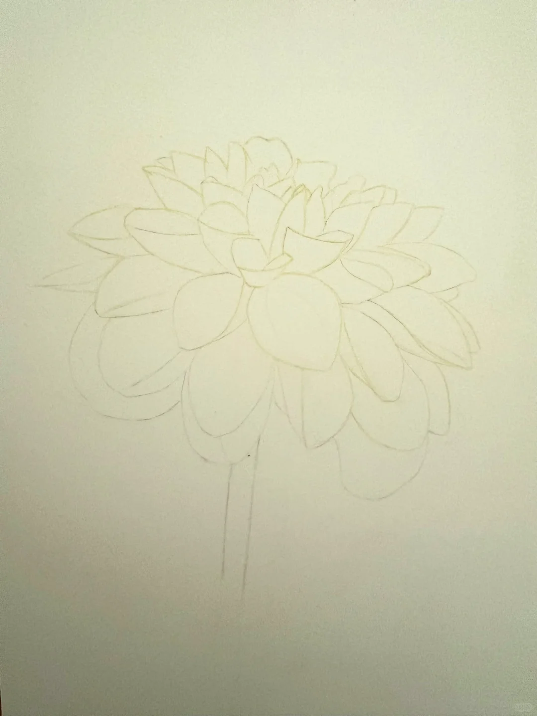 如此娇艳💋💋💋（+线稿）