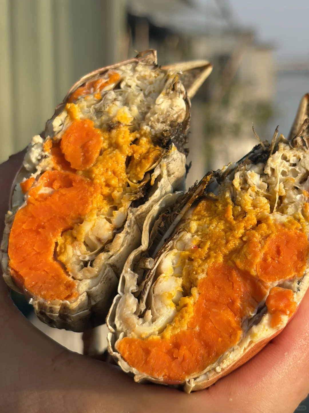 大降温！大残母蟹肥成红薯精了🤣