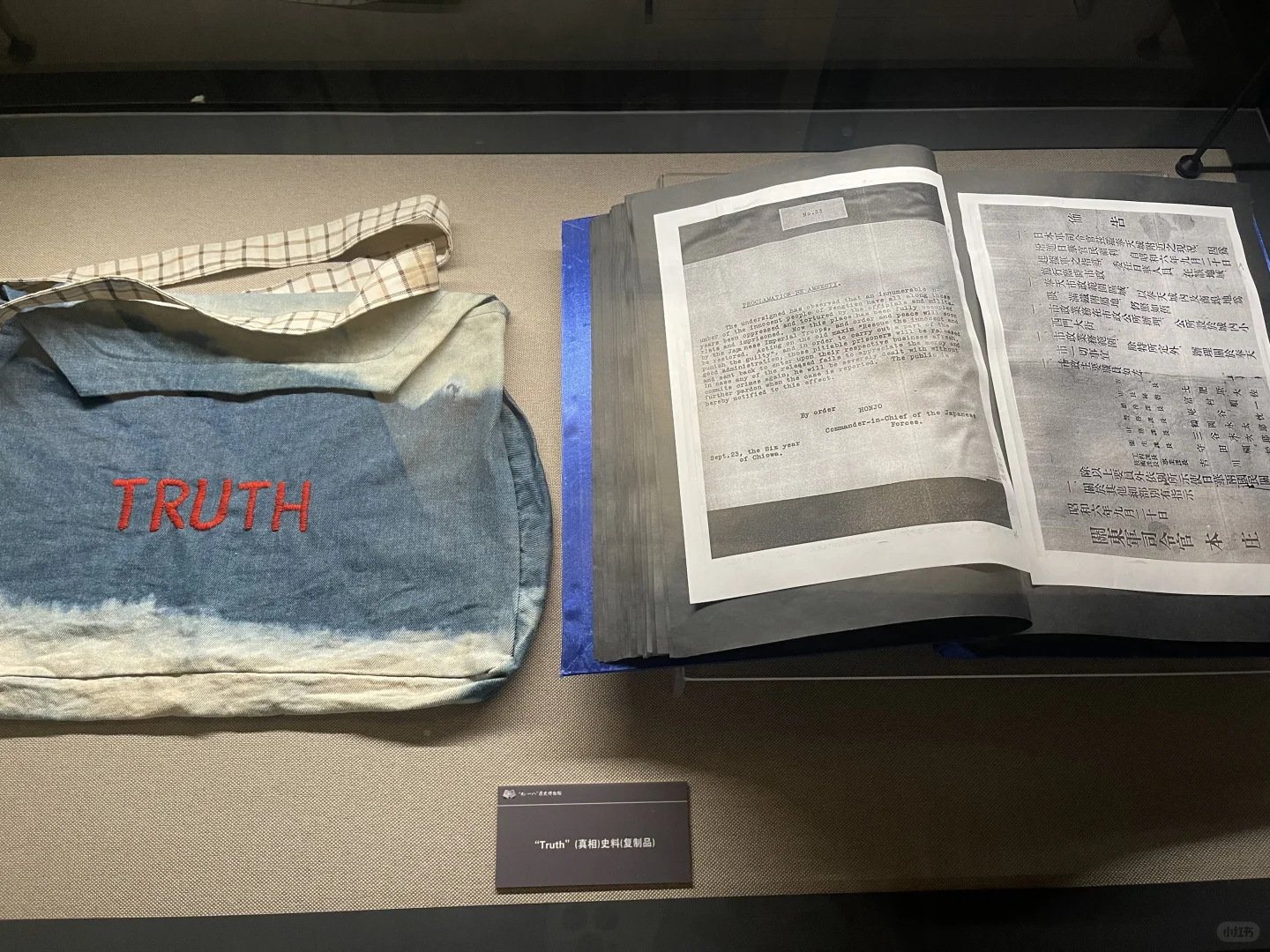 坏人的血才是黑色的，而我们永远万紫千红