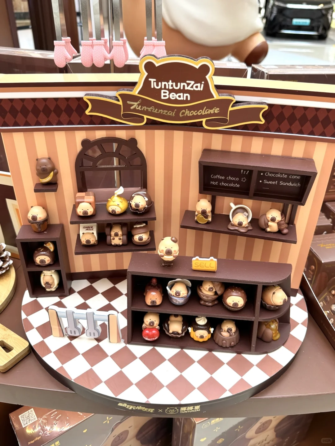 😍在深圳偶遇豚豚崽啦🍫还是华南首站!