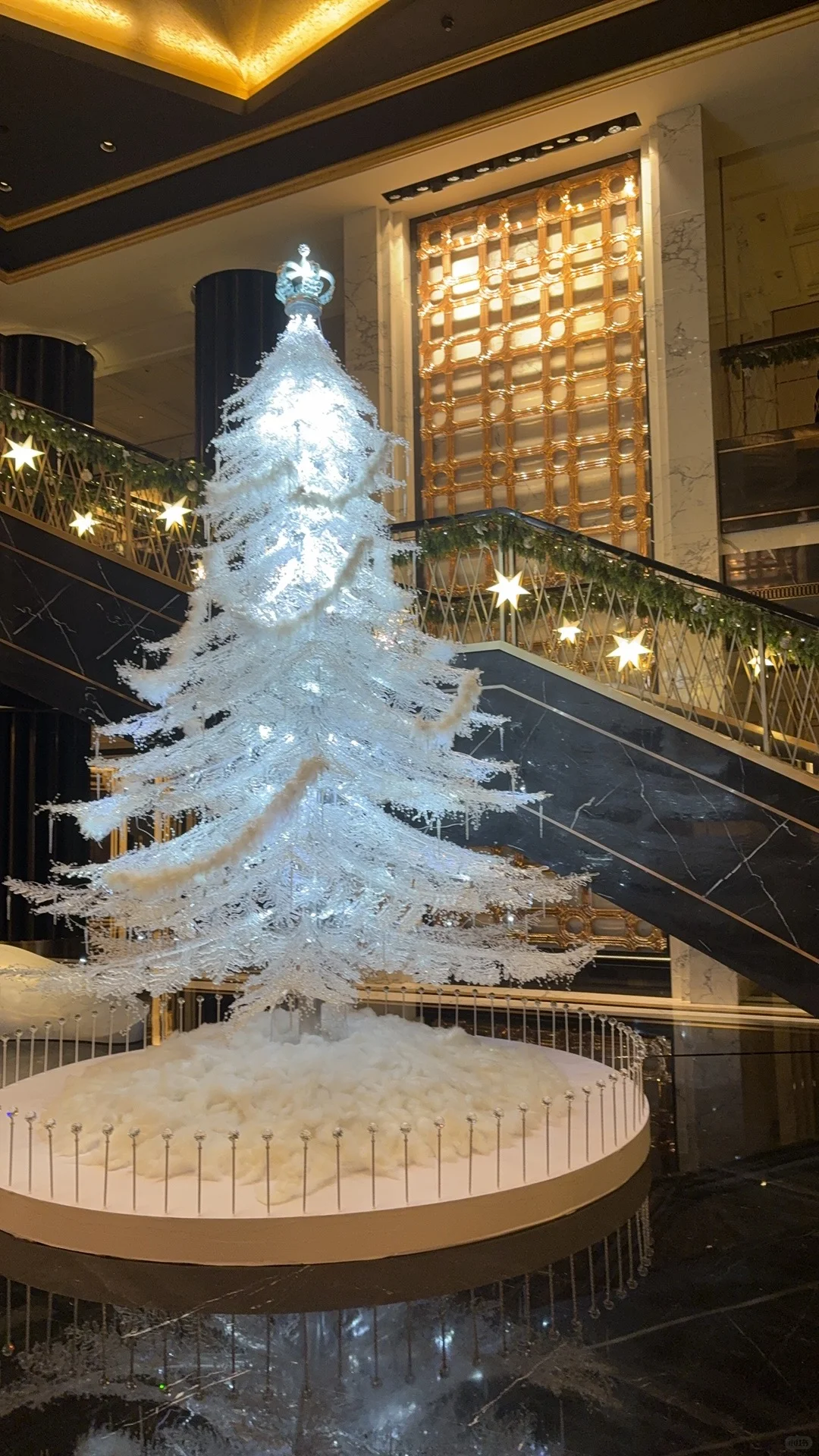 我吃吃地看着你