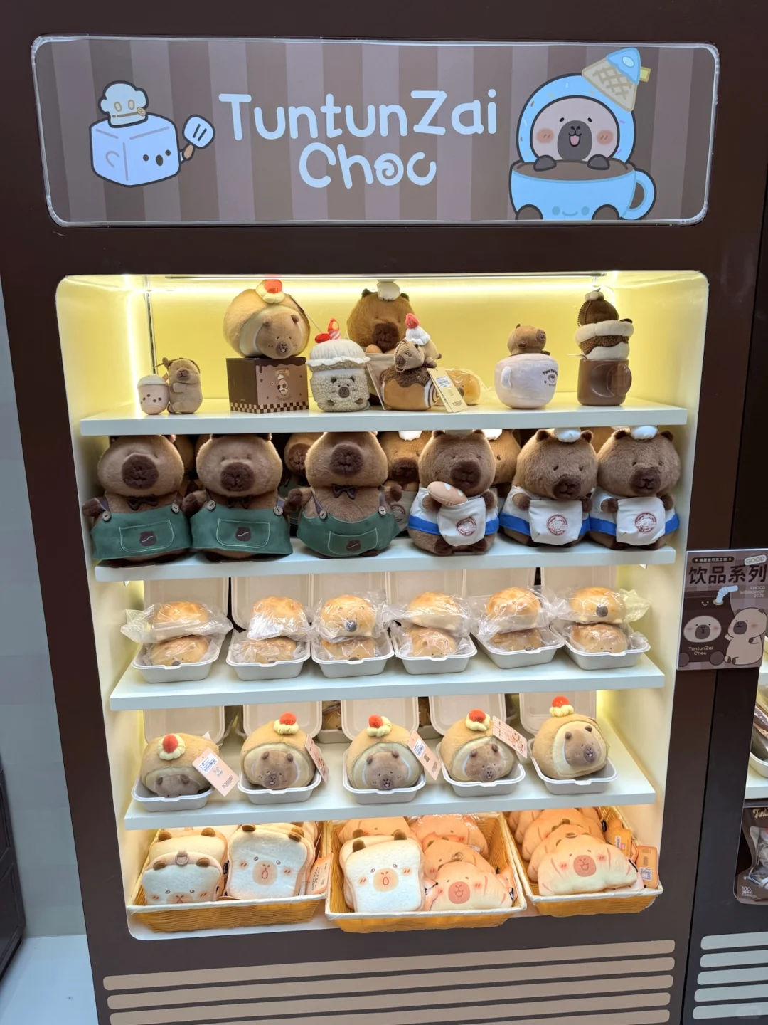 😍在深圳偶遇豚豚崽啦🍫还是华南首站!