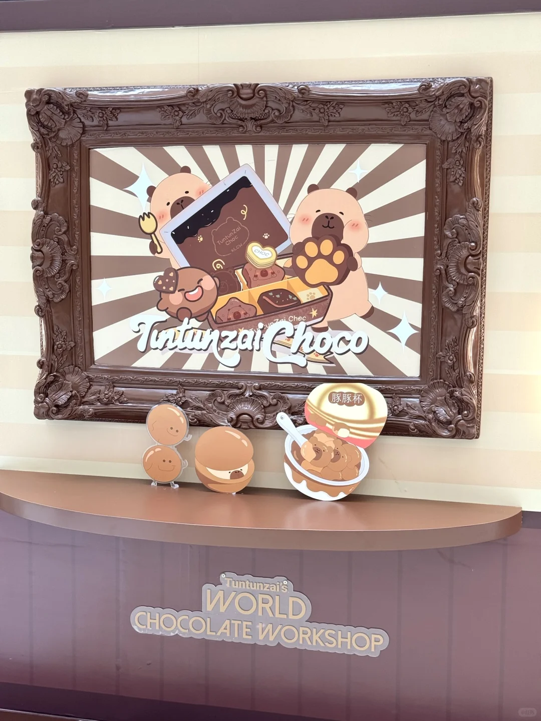 😍在深圳偶遇豚豚崽啦🍫还是华南首站!