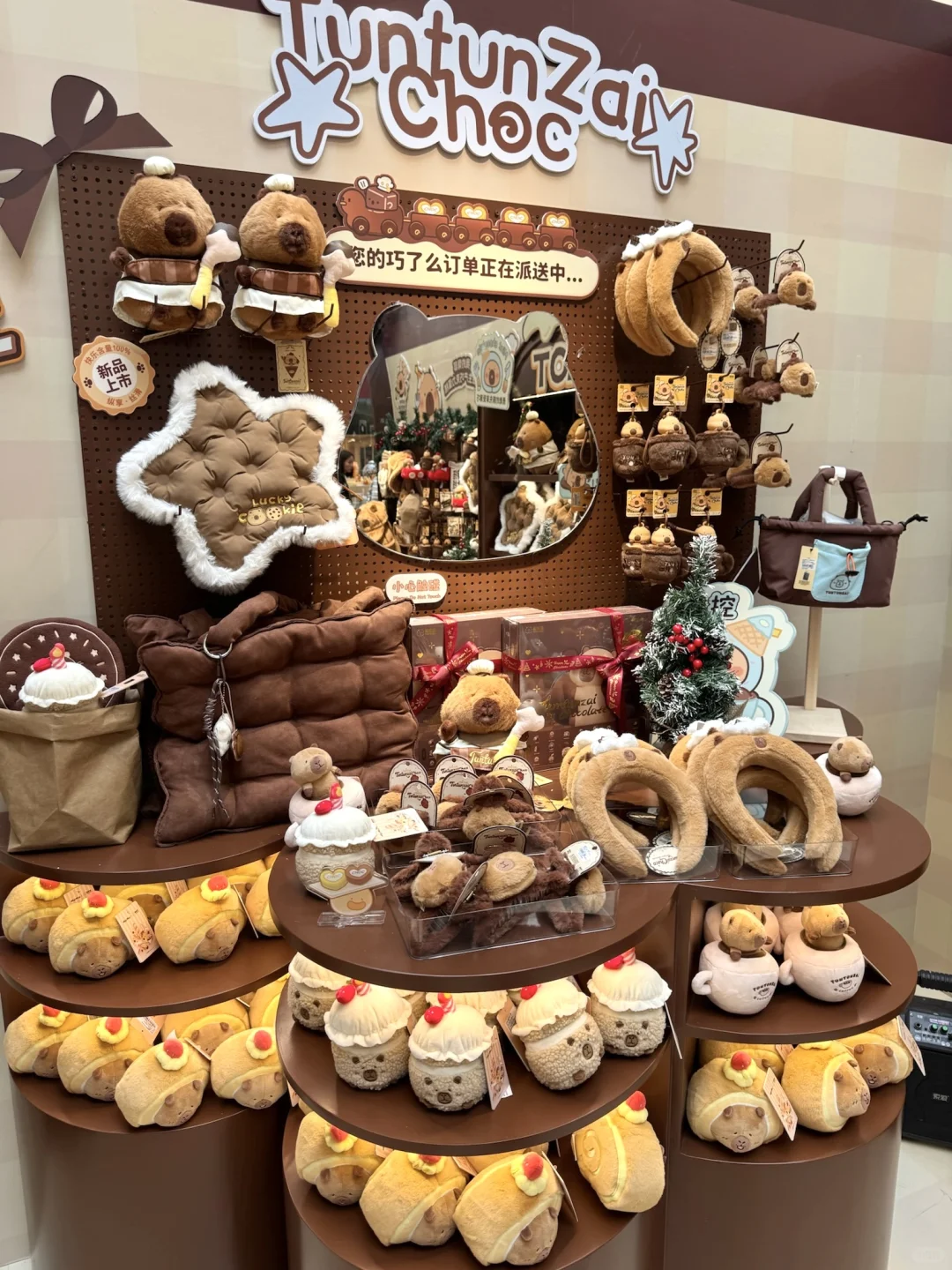 😍在深圳偶遇豚豚崽啦🍫还是华南首站!