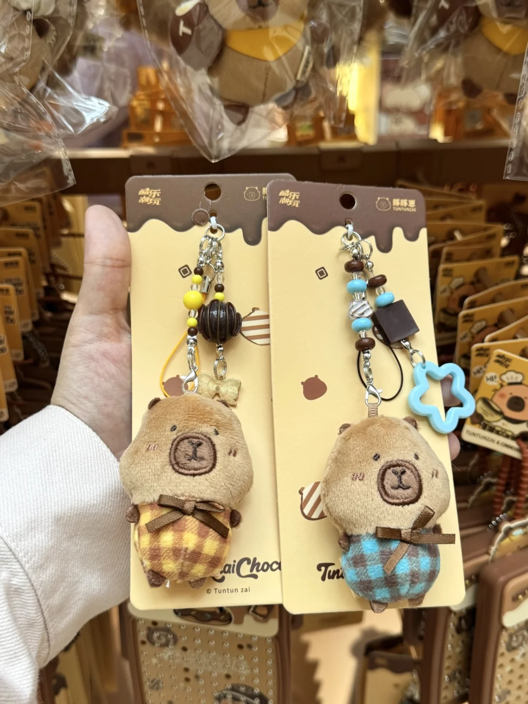 😍在深圳偶遇豚豚崽啦🍫还是华南首站!