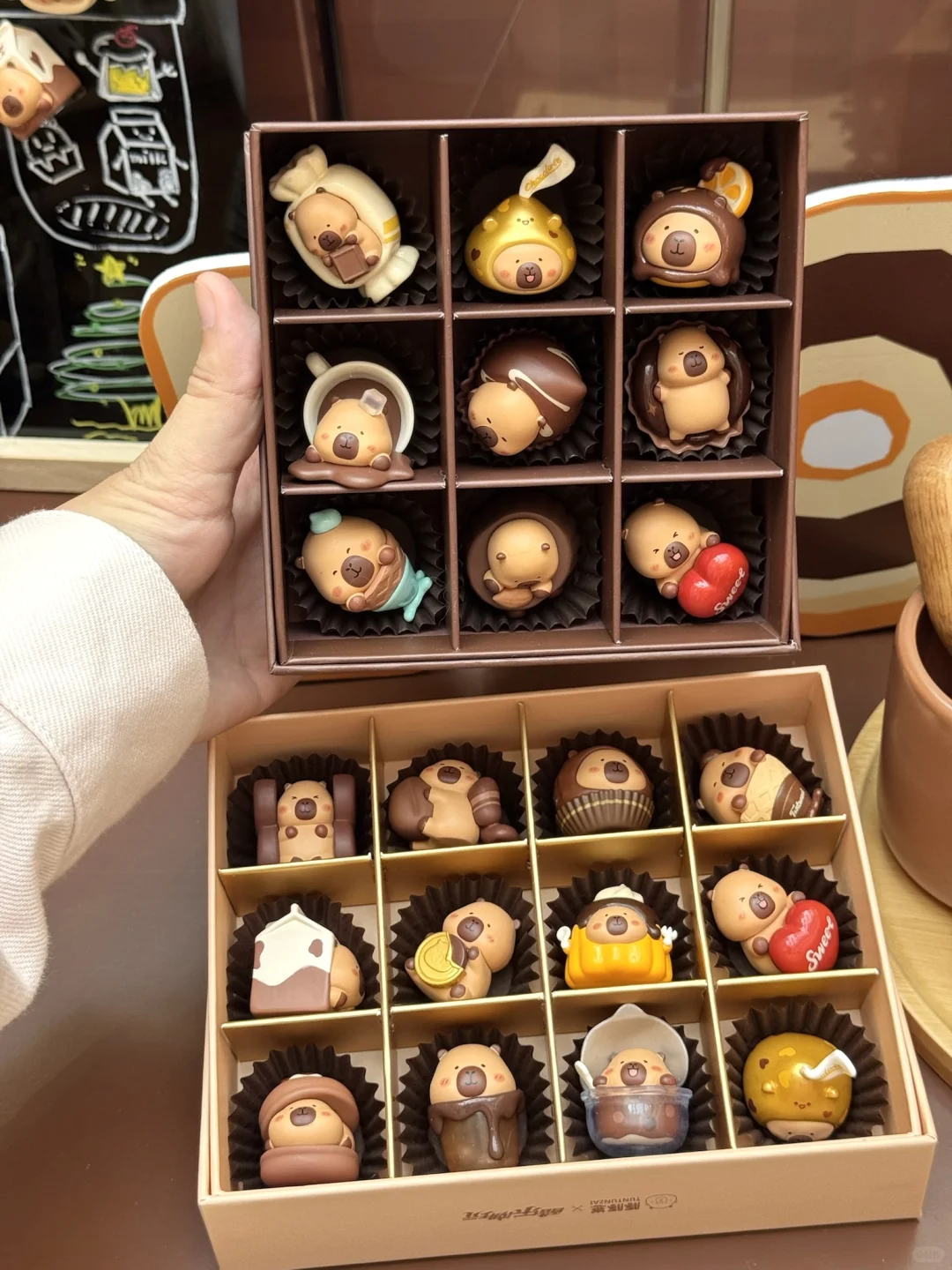 😍在深圳偶遇豚豚崽啦🍫还是华南首站!