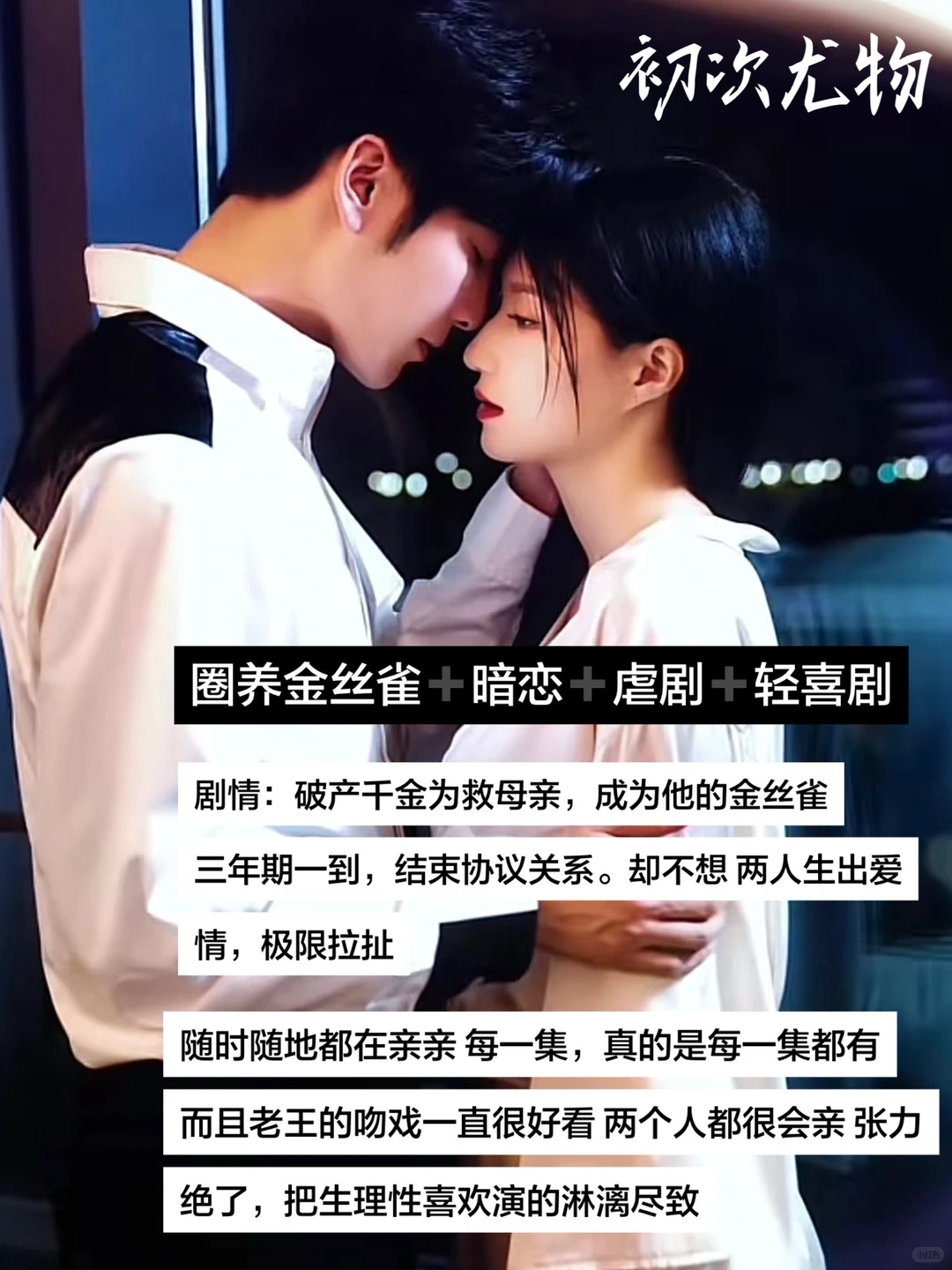 12月六部必看的爆款短剧❗️❗️部部精彩上头