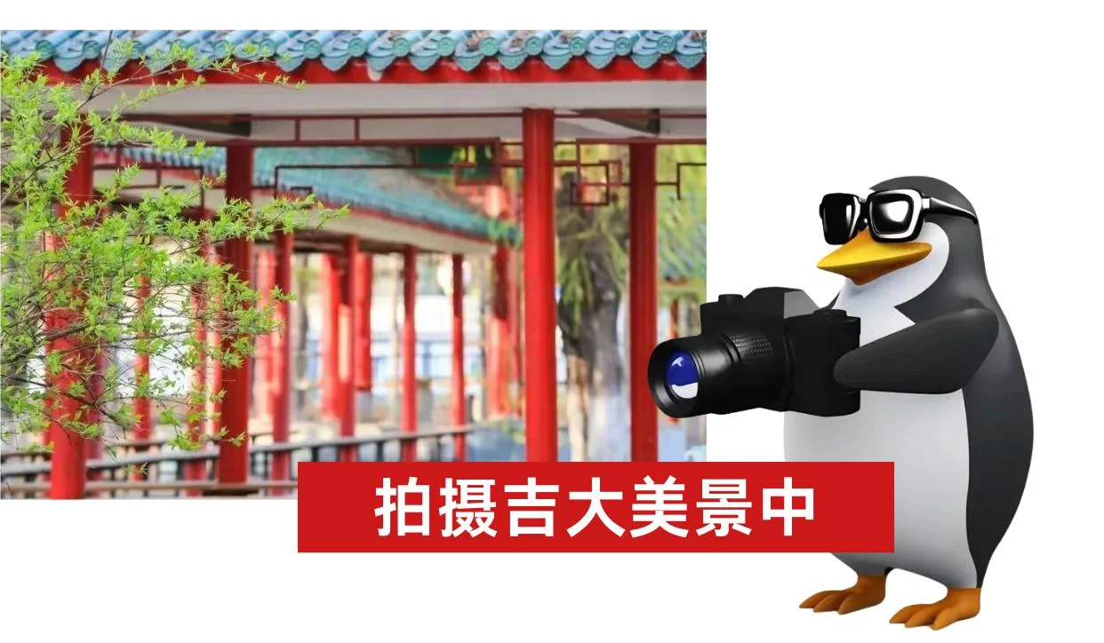 吉大人速进！欣赏它就为它做表情包吧