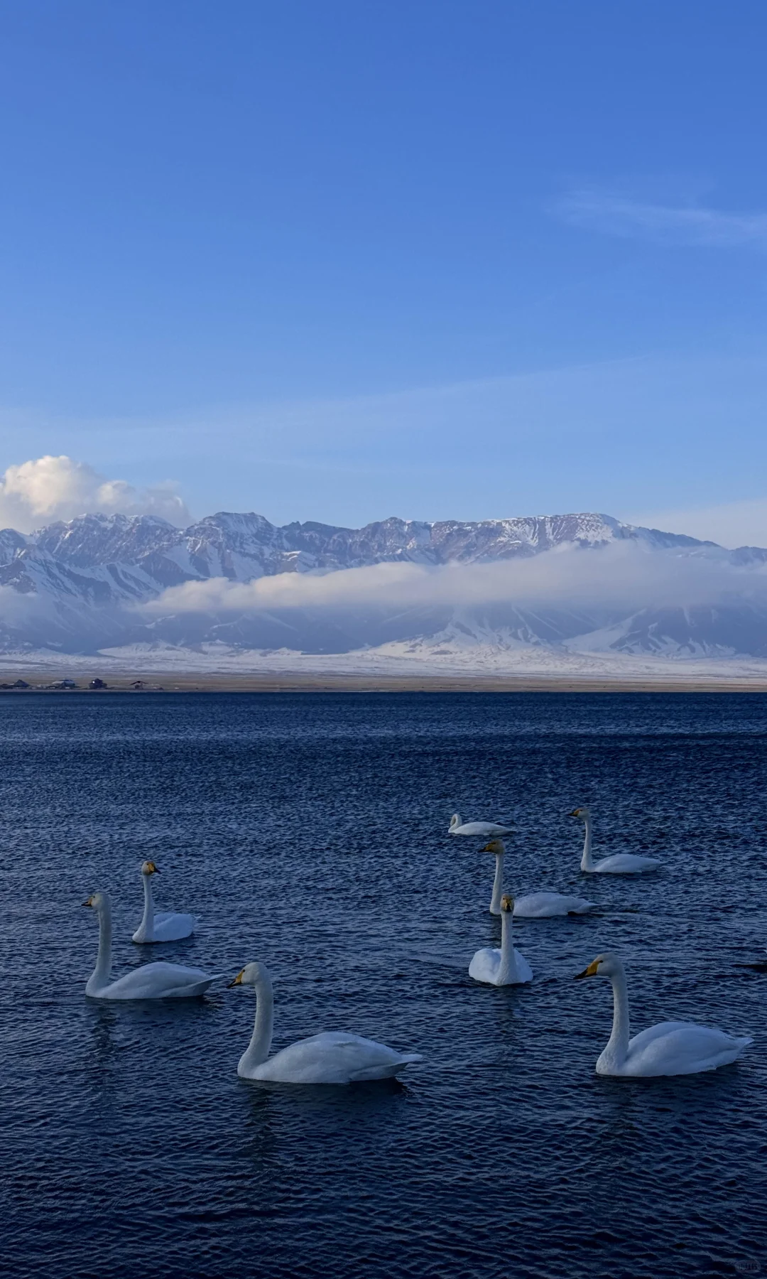 全屏live❄️live in winter