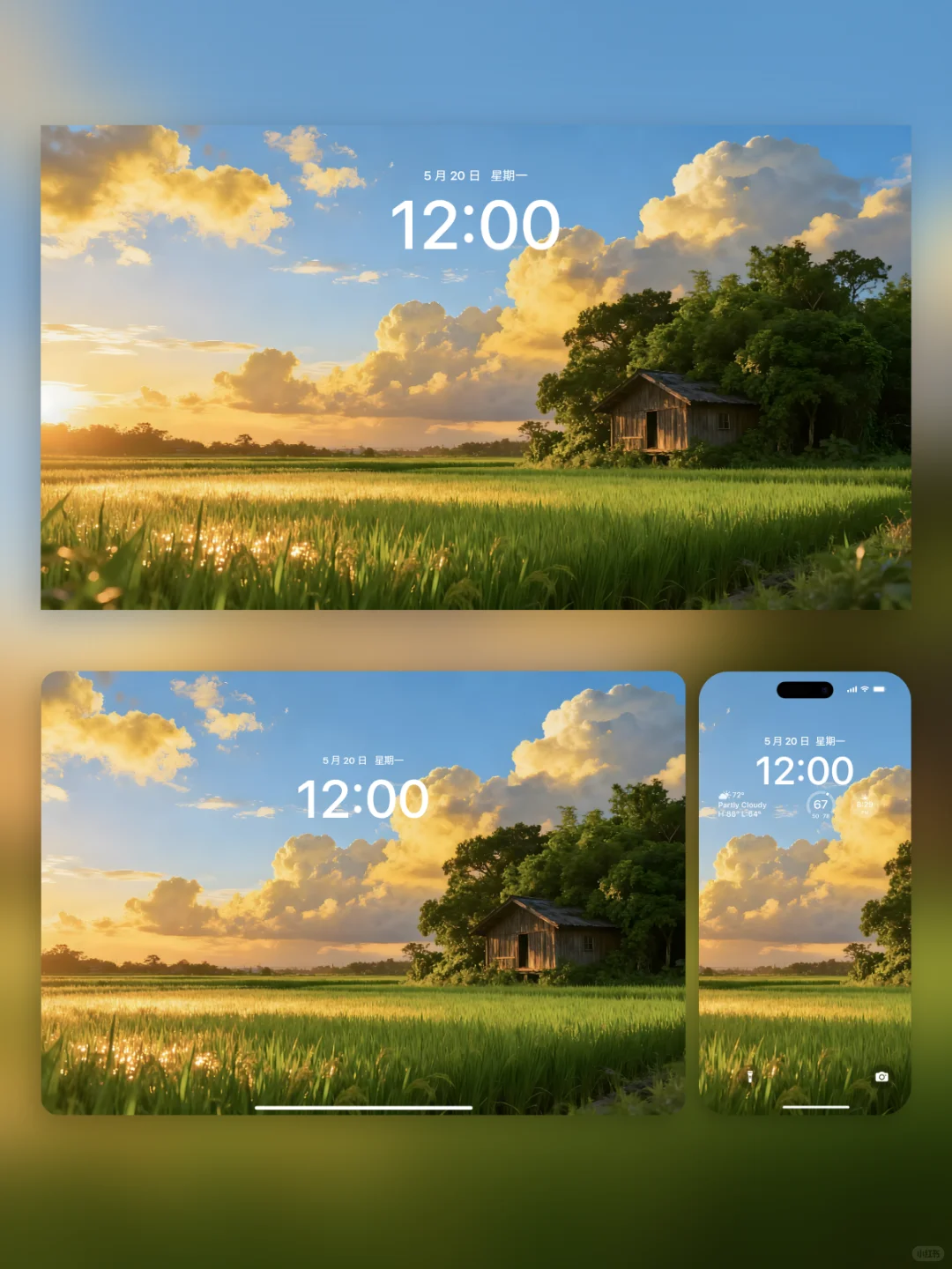 电脑壁纸 A-12落日双镜