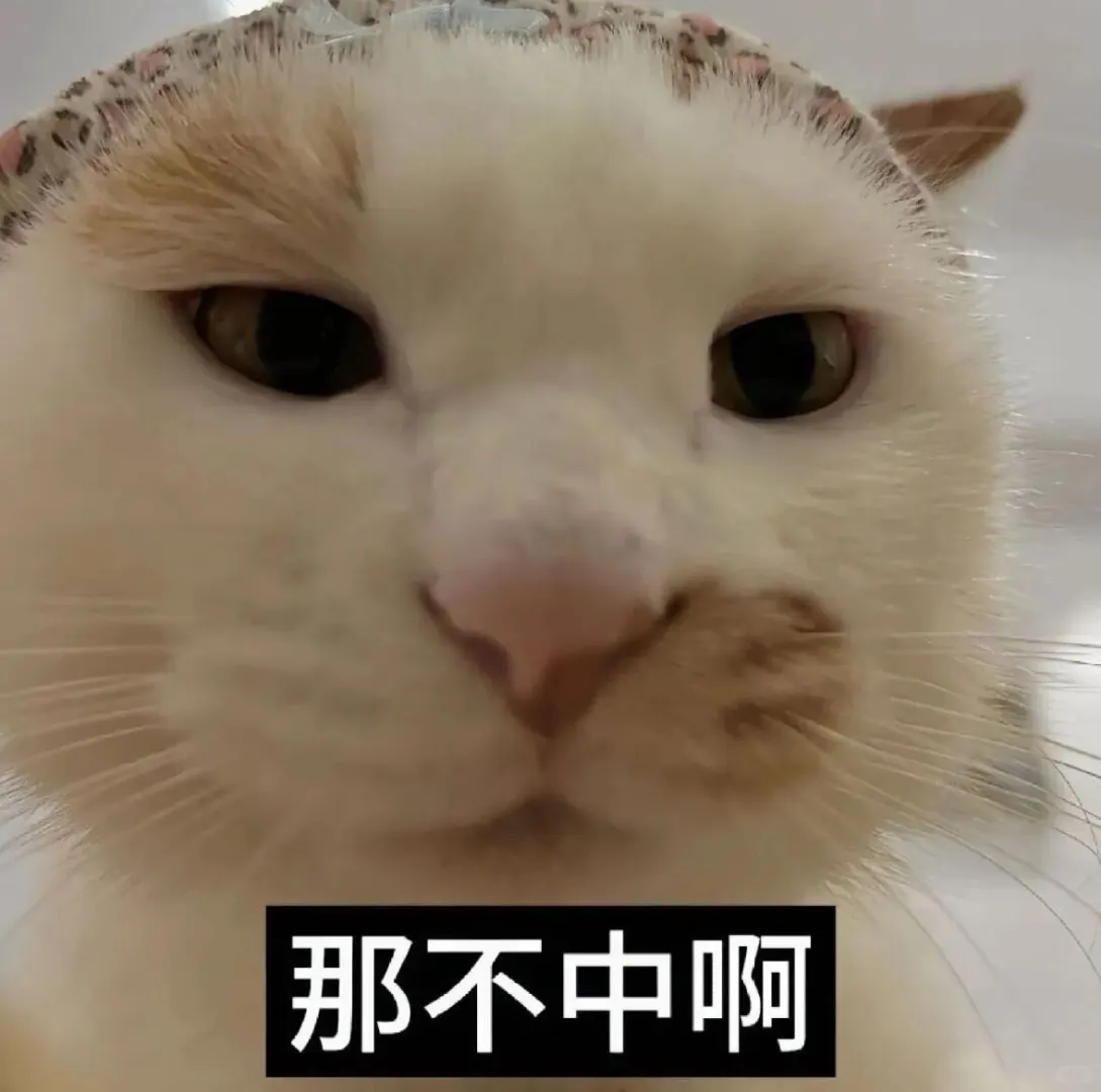 一股河南味的小猫表情包