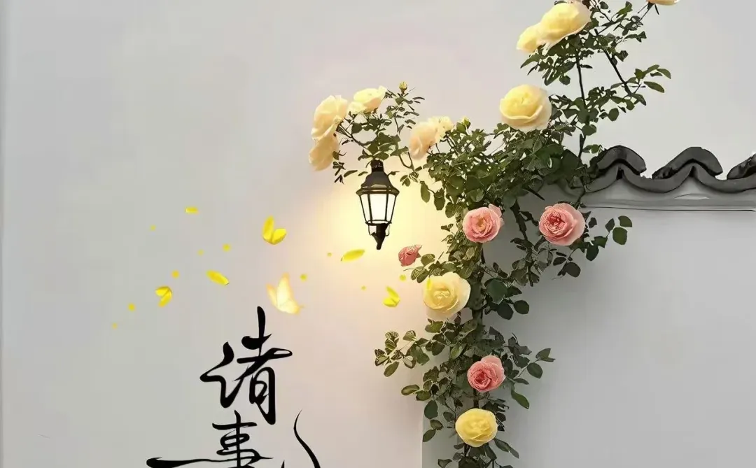 平安喜乐全屏高清壁纸